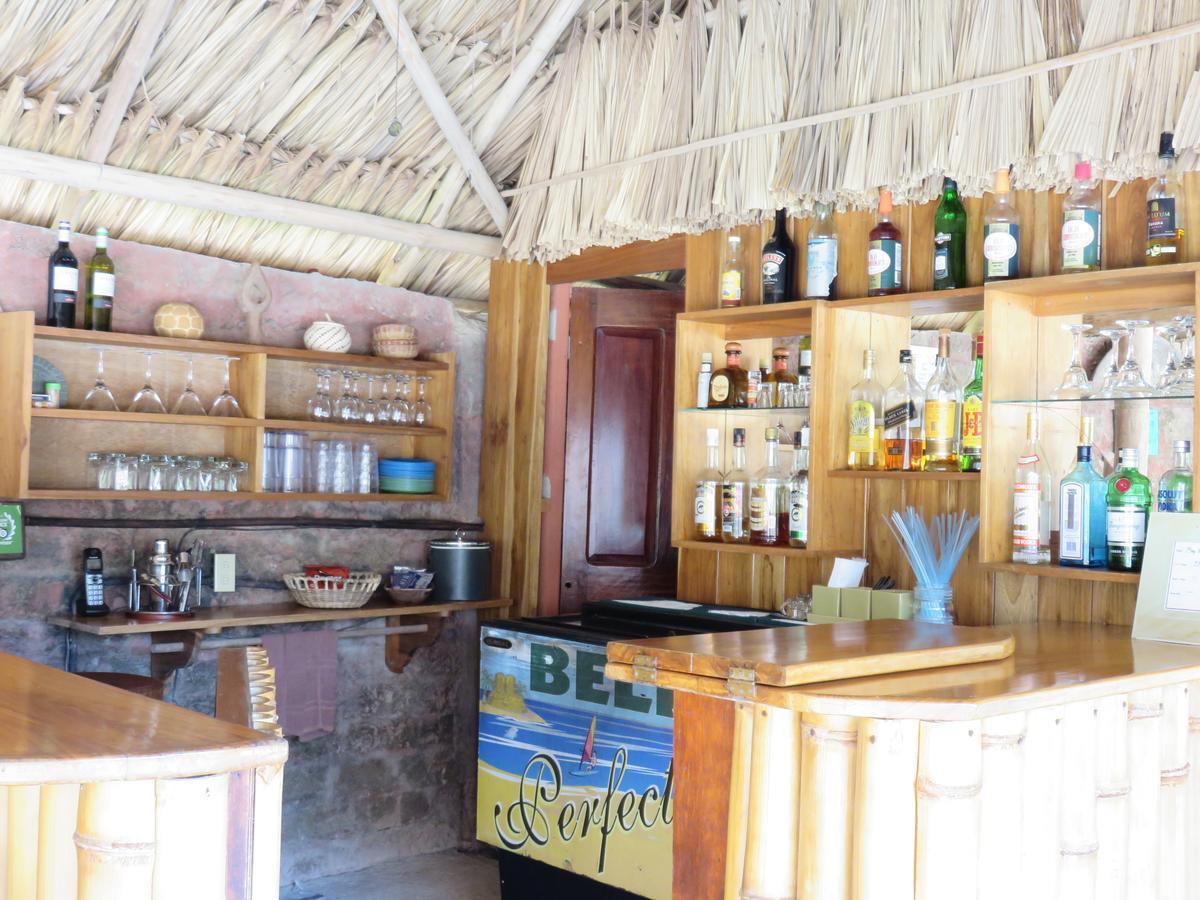 Coral House Bed & Breakfast Пунта Горда Екстериор снимка